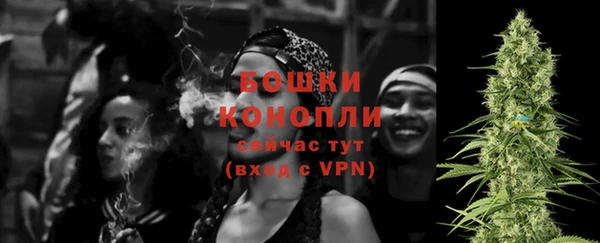 молекула духа Володарск