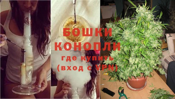 твердый Волоколамск