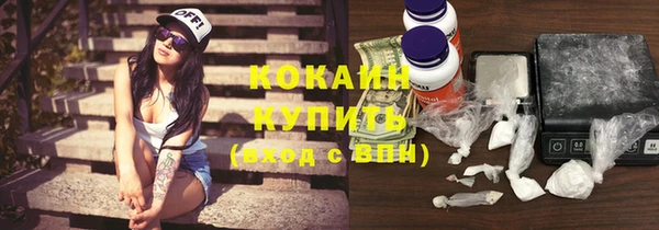 соль ск Волосово