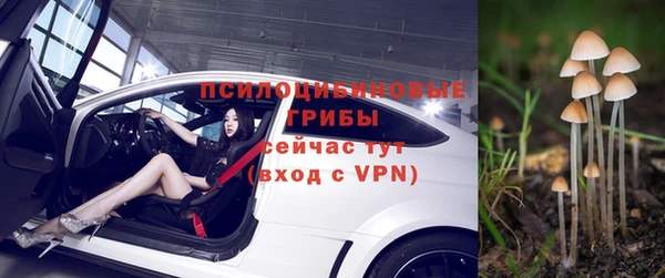 твердый Волоколамск