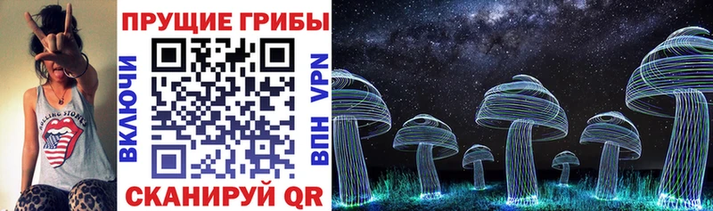 Купить  Сольвычегодск  Галлюциногенные грибы Magic Shrooms 